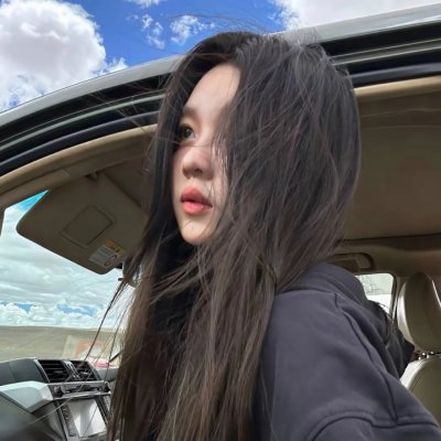 莫西干回到故乡